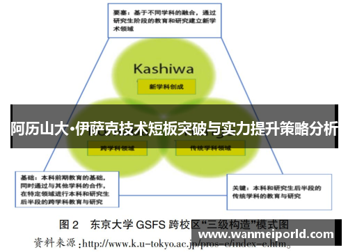 阿历山大·伊萨克技术短板突破与实力提升策略分析